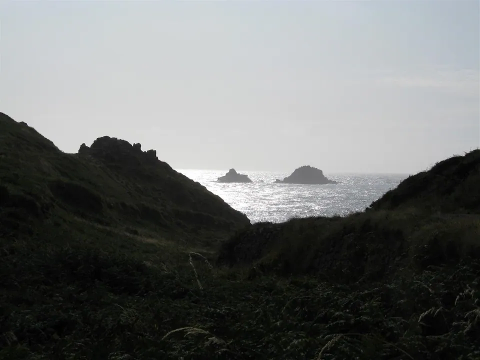 Day 3 the bisons carn gloose